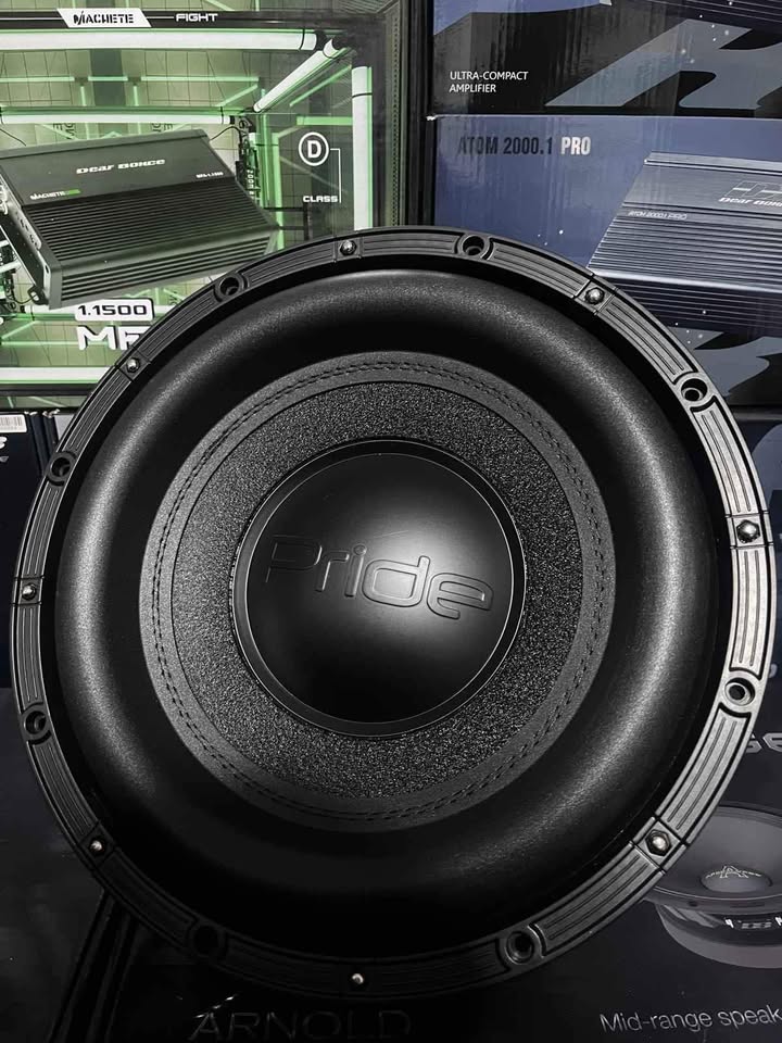 PRİDE 30 CM 1200 RMS BAS