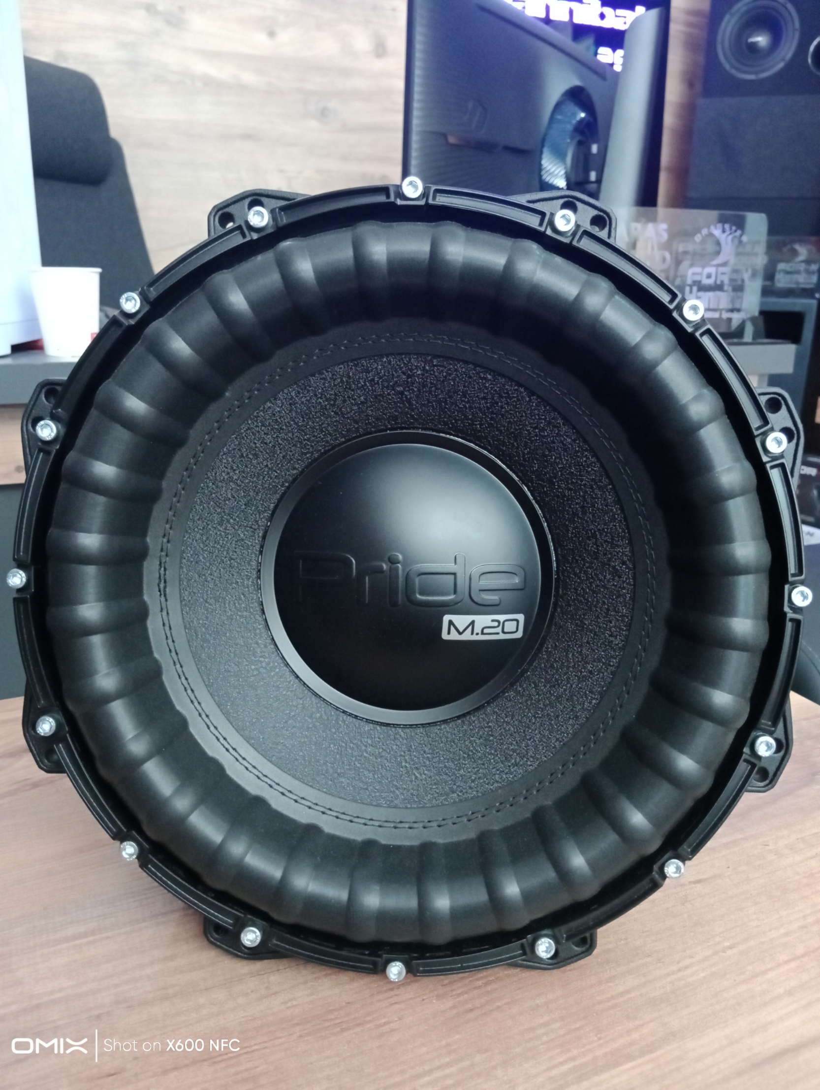 Pride M20 30 CM 2000 RMS Subwoofer 