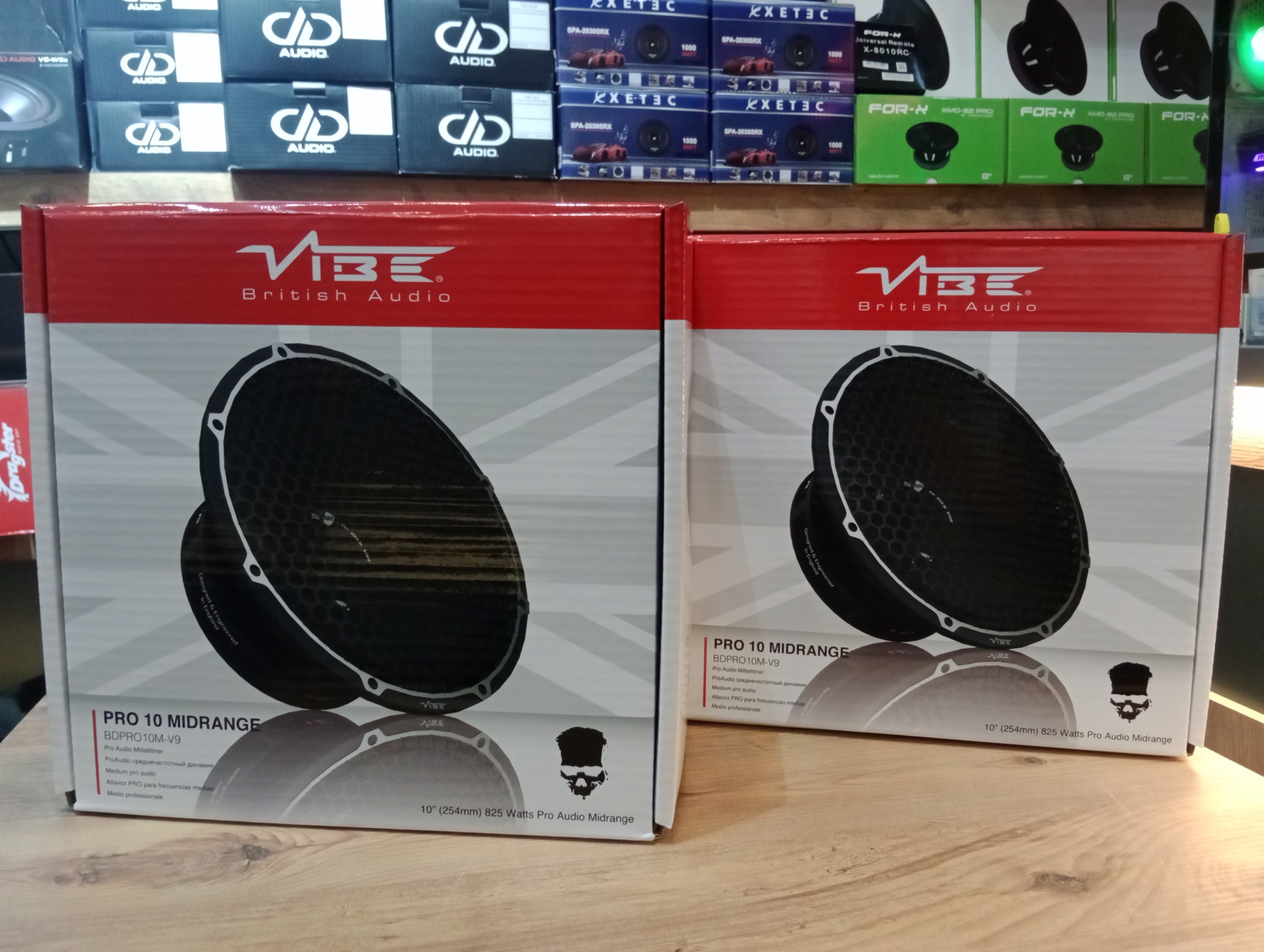 VİBE 25 CM MİDRANGE 825 WATT 225 RMS